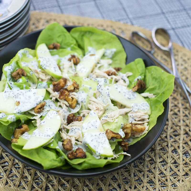 Poppy seed, apple, and walnut chicken salad in a bowl with fresh ingredients.